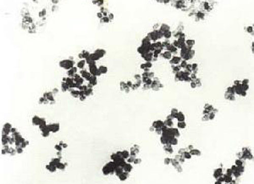 加工完成的熱解法炭黑結構圖